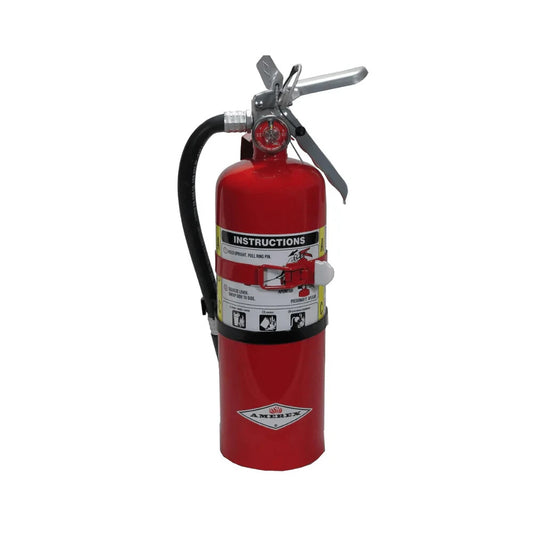 Amerex B402T 5Lb ABC Dry Chemical Fire Extinguisher (15281) - Same Day Shipping