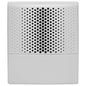 Kidde EG4SWF Genesis EG4 Wall Speaker