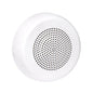 Wheelock ELSPKWC-N Eluxa High Fidelity Speaker