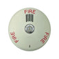 Siemens SLHSCW-F (S54329-F13-A1) Ceiling LED Horn Strobe