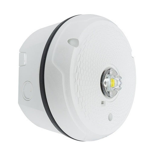 System Sensor SCWKLED-P Outdoor Ceiling-Mounte